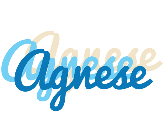 Agnese breeze logo