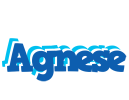 Agnese business logo