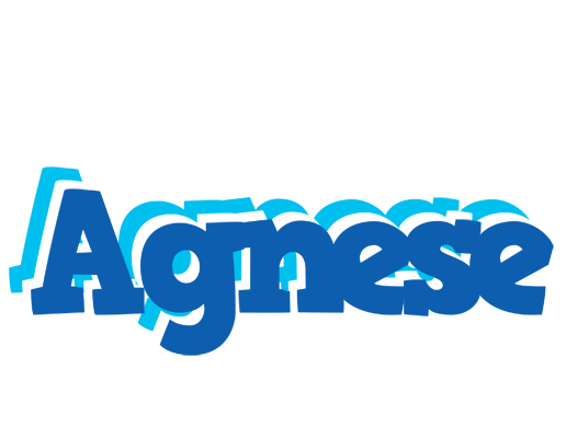Agnese business logo