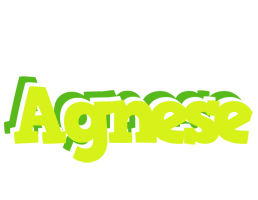 Agnese citrus logo