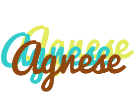 Agnese cupcake logo