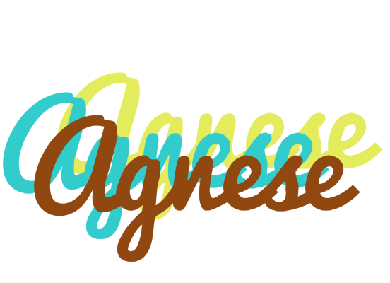 Agnese cupcake logo