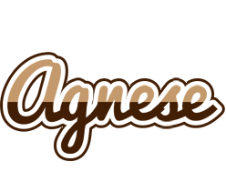 Agnese exclusive logo