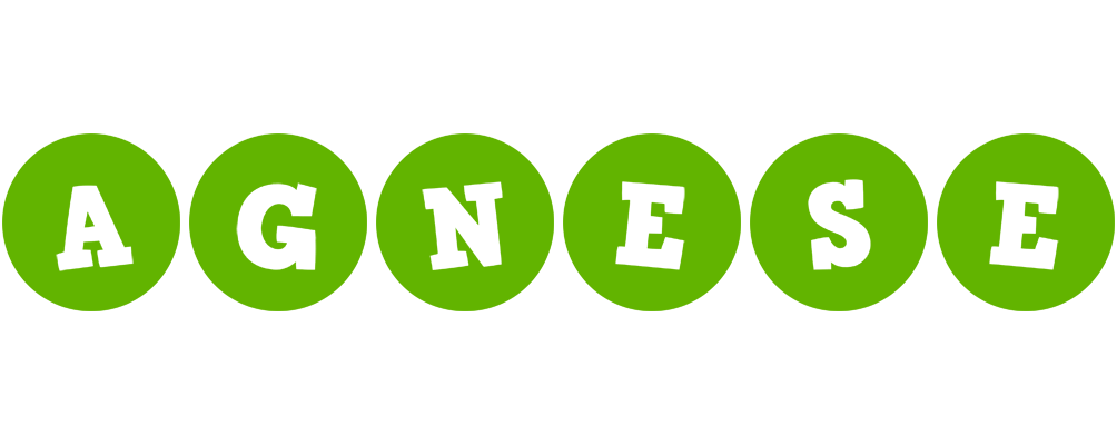 Agnese games logo