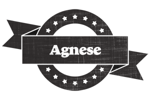 Agnese grunge logo