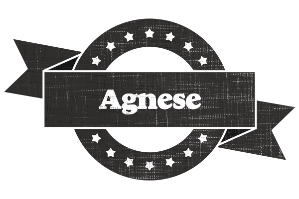 Agnese grunge logo