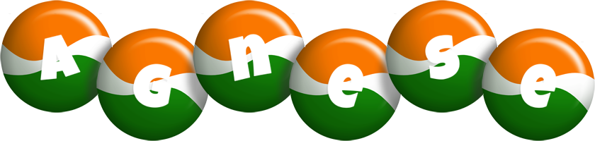 Agnese india logo