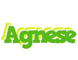 Agnese picnic logo