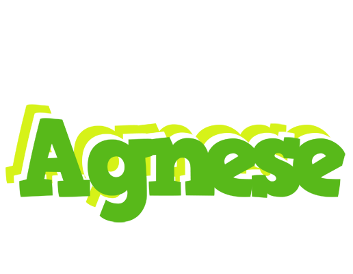 Agnese picnic logo