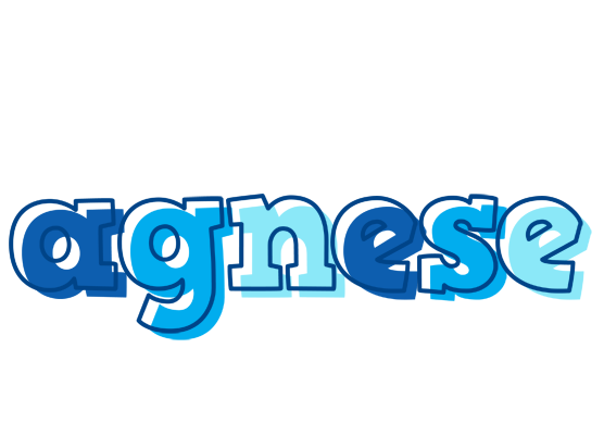 Agnese sailor logo