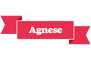 Agnese sale logo