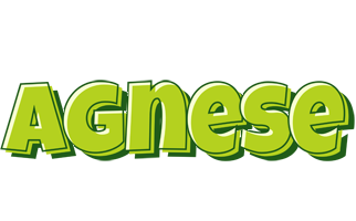 Agnese summer logo