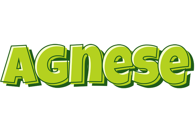 Agnese summer logo