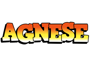 Agnese sunset logo