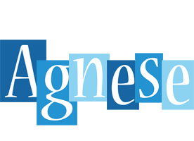 Agnese winter logo