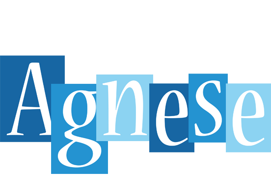 Agnese winter logo