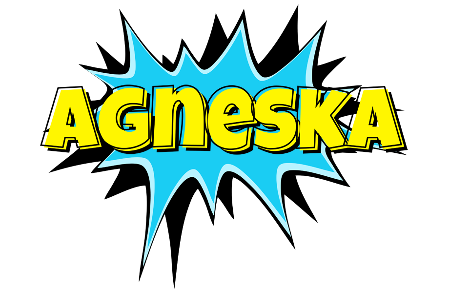 Agneska amazing logo