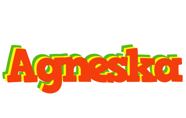 Agneska bbq logo
