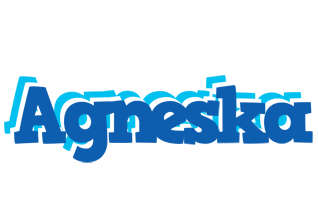 Agneska business logo