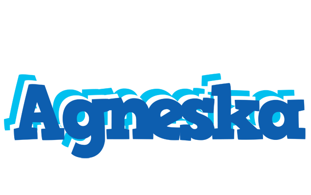 Agneska business logo