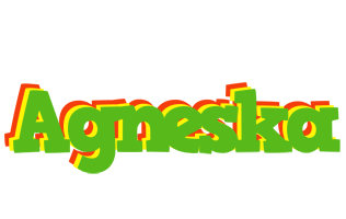 Agneska crocodile logo