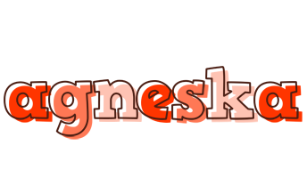 Agneska paint logo