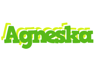 Agneska picnic logo