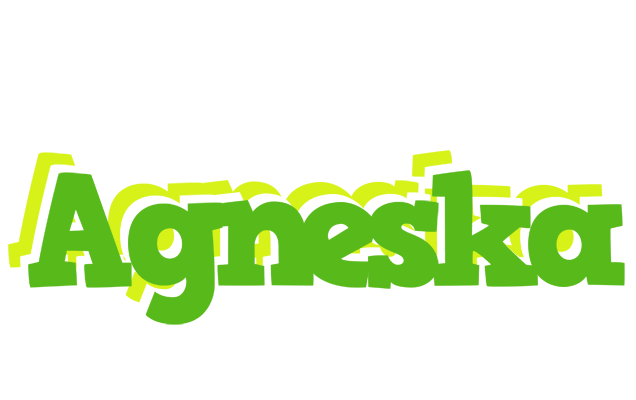Agneska picnic logo