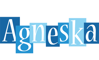 Agneska winter logo