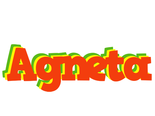 Agneta bbq logo