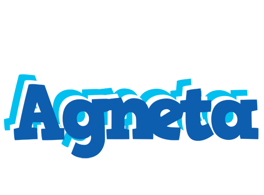 Agneta business logo