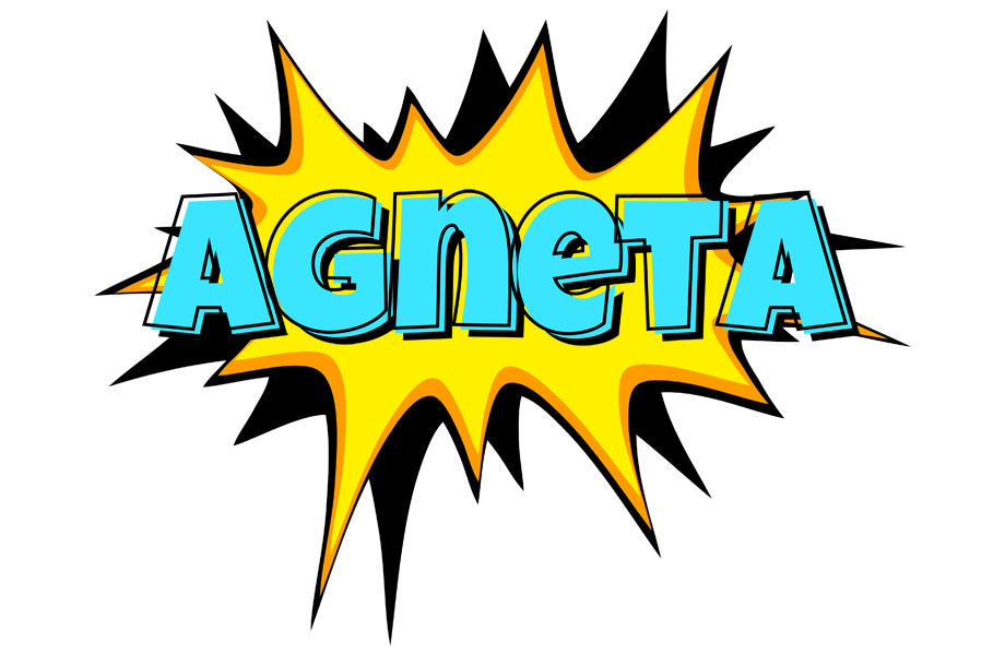 Agneta indycar logo