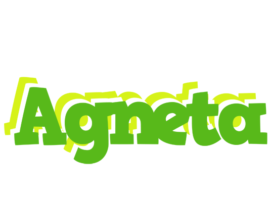 Agneta picnic logo