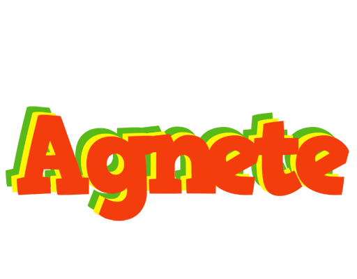 Agnete bbq logo