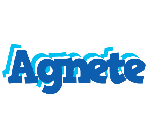 Agnete business logo