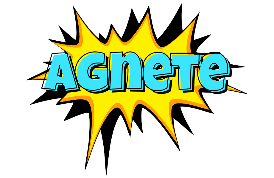 Agnete indycar logo