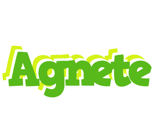 Agnete picnic logo