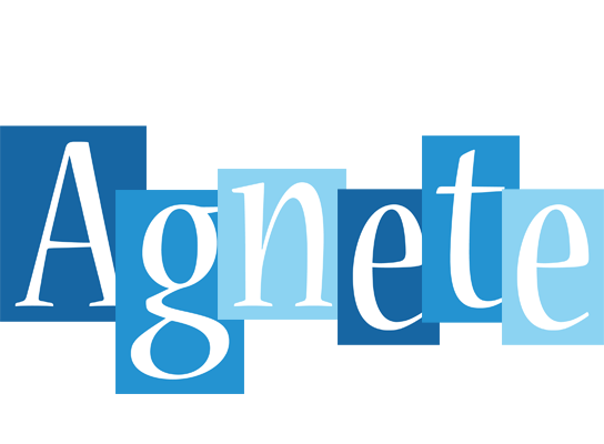 Agnete winter logo