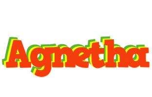 Agnetha bbq logo