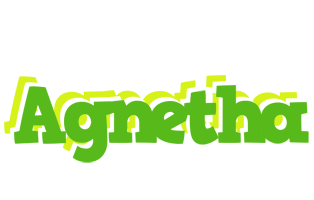 Agnetha picnic logo