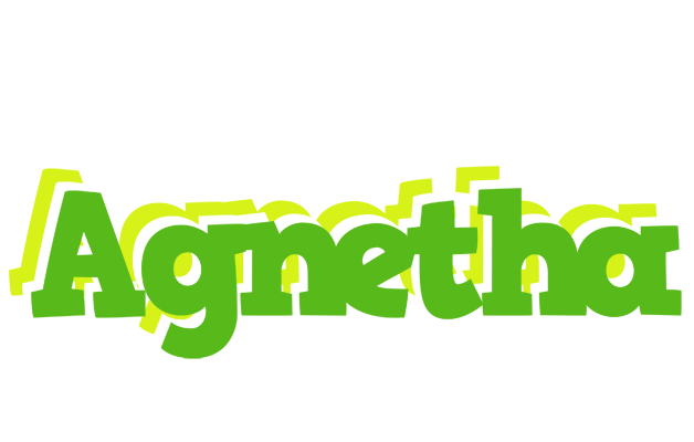 Agnetha picnic logo