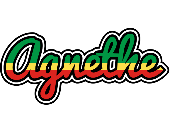 Agnethe african logo