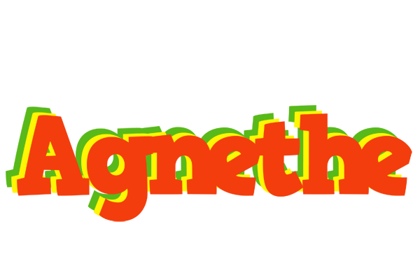 Agnethe bbq logo