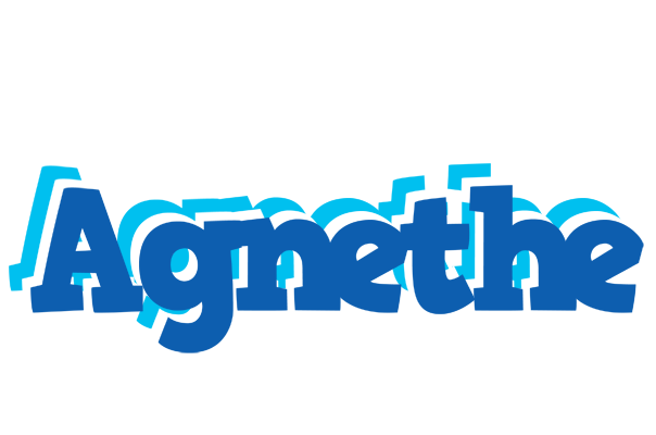 Agnethe business logo