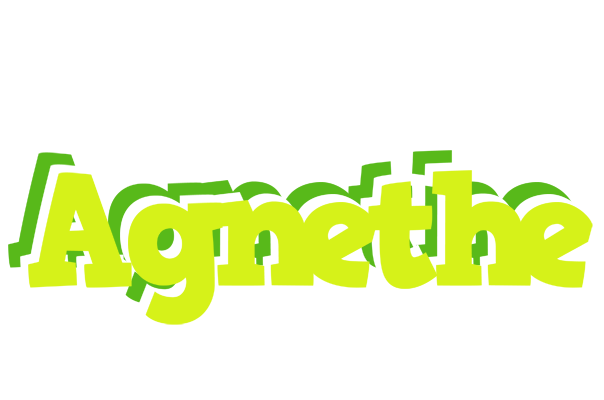 Agnethe citrus logo