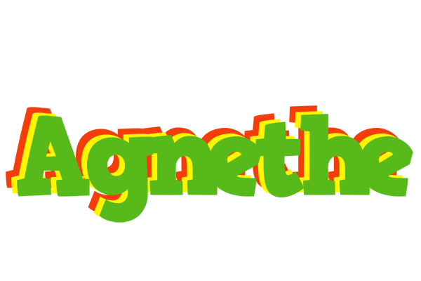 Agnethe crocodile logo
