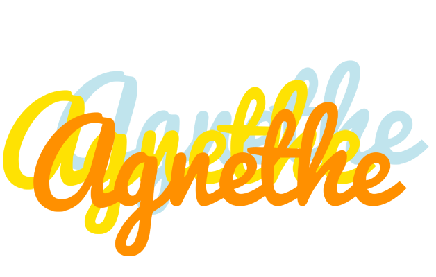 Agnethe energy logo