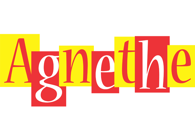 Agnethe errors logo