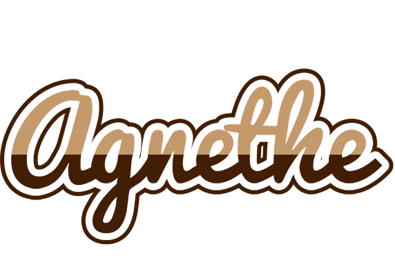 Agnethe exclusive logo