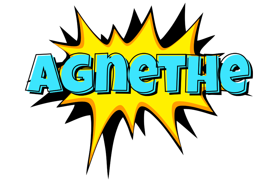 Agnethe indycar logo